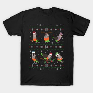 Ugly Christmas Pattern Red Bellied Parrot T-Shirt